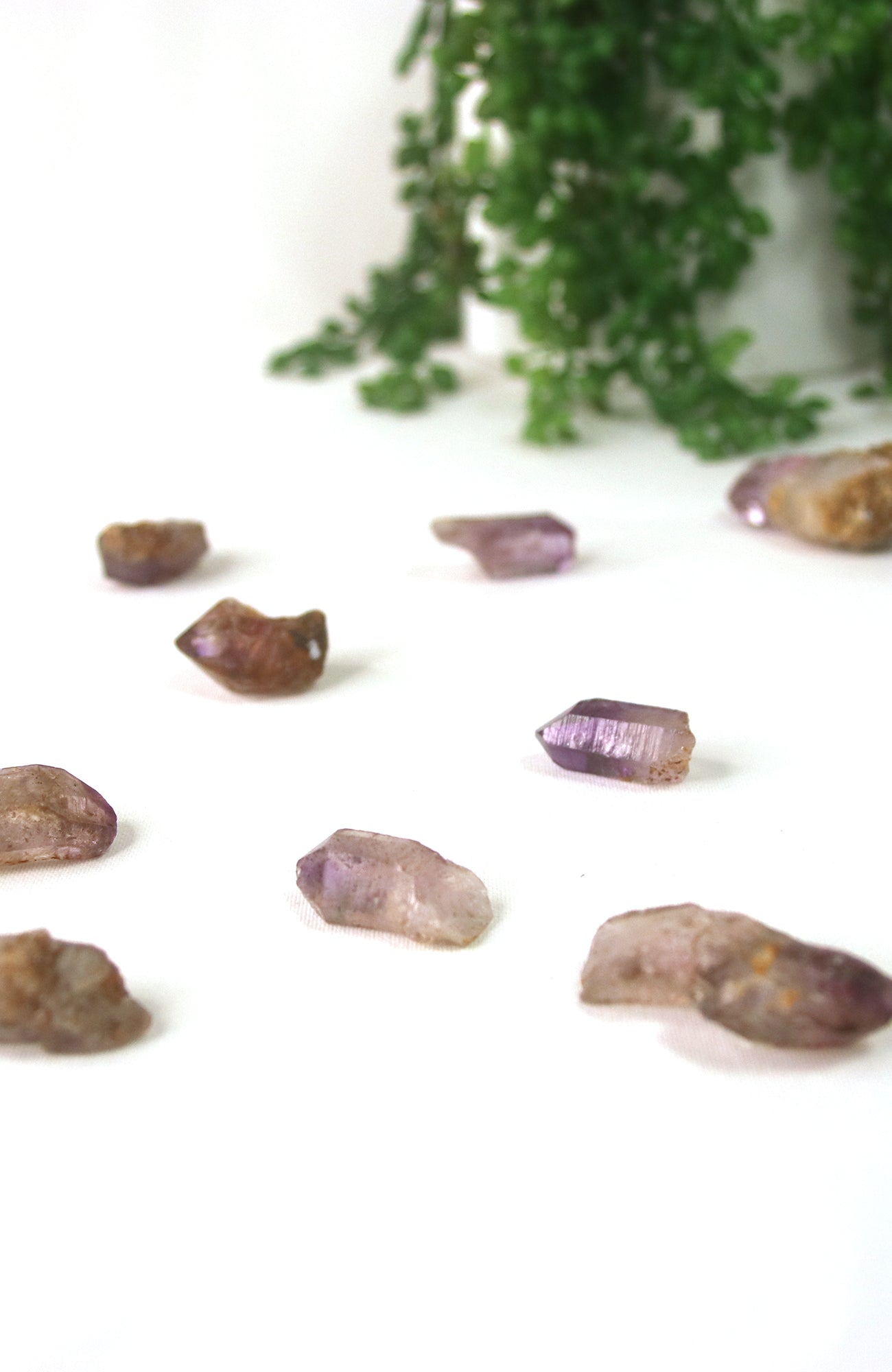 Chiredzi Amethyst Specimens